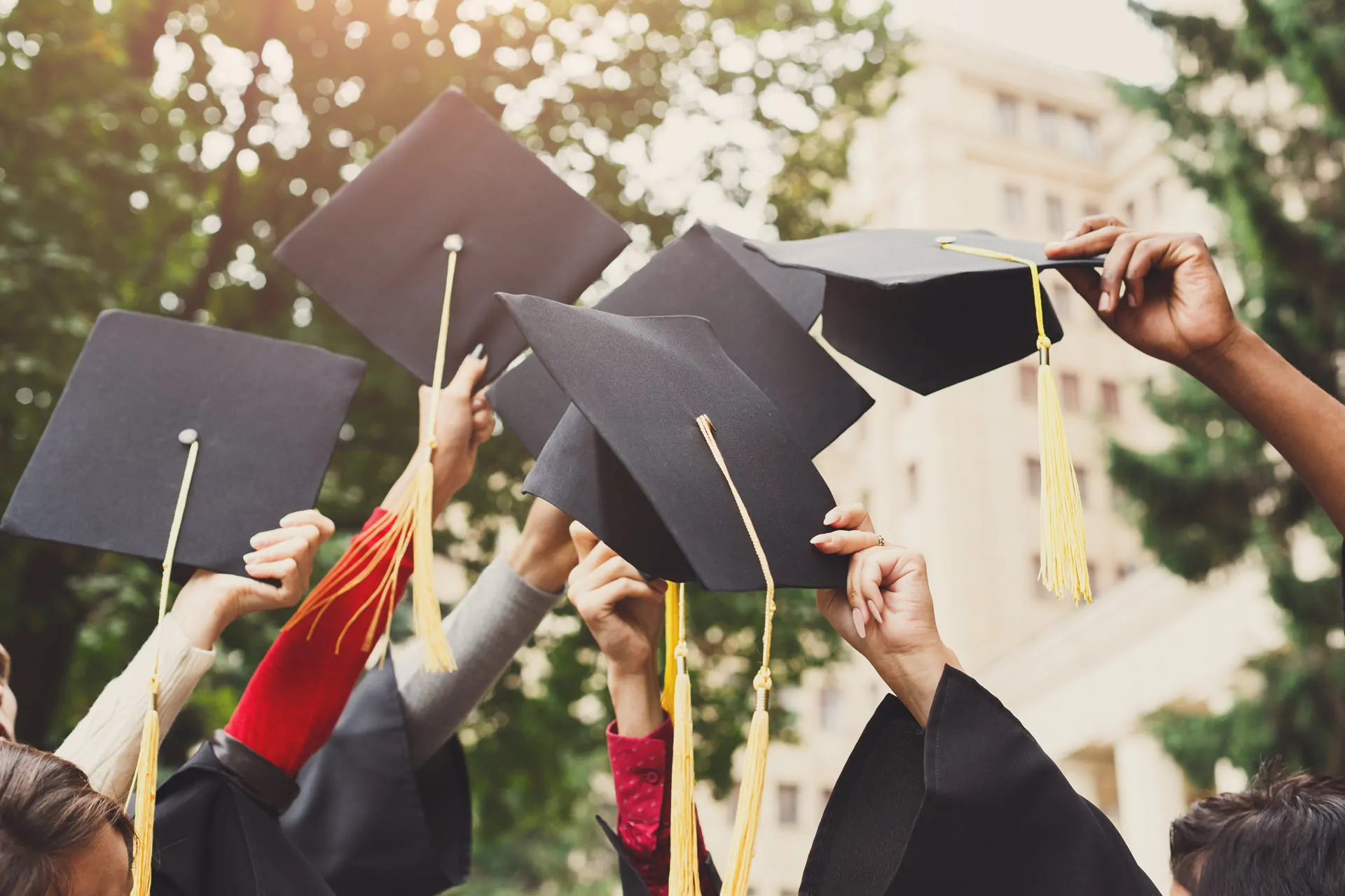 11 Plus Exam Information for Parents 11plus exam graduation