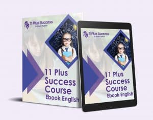 11+ english ebook