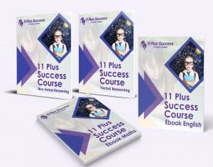 11+ plus 4 ebook bundle