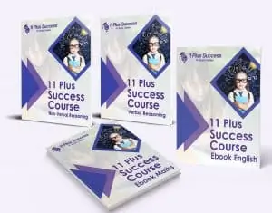 11+ plus 4 ebook bundle
